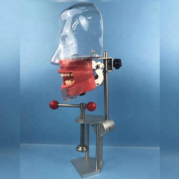 Momodel fantasma dental / equipamento de laboratório compatível com Nissin