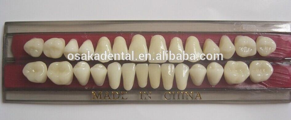 OSA-C-TEETH 5.jpg
