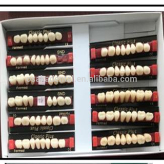 A European Quality Dentes Dentes nas Dentes Melhor Qualidade