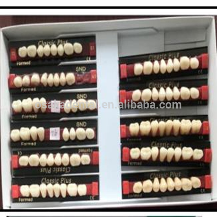 A European Quality Dentes Dentes nas Dentes Melhor Qualidade