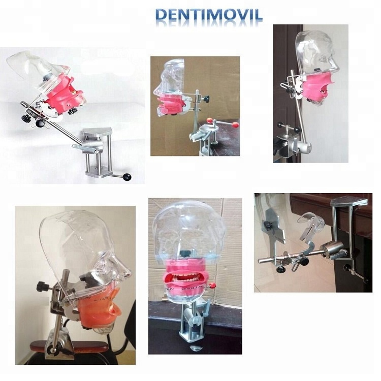 Momodel fantasma dental / equipamento de laboratório compatível com Nissin