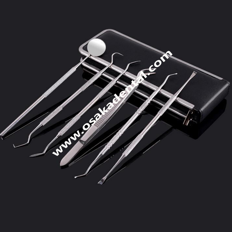 Instrumento dental de 6pcs um jogo / instrumento do cuidado da dentadura / processo de cura dental do equipamento