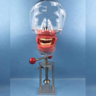 Momodel fantasma dental / equipamento de laboratório compatível com Nissin