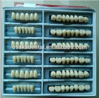 Preço mais barato Três camadas dentais dentais dentes / dentes sintéticos dentários / dentes de resina de acrílico dental