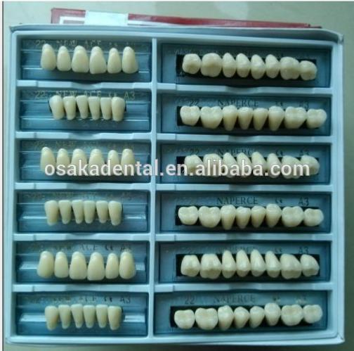 Preço mais barato Três camadas dentais dentais dentes / dentes sintéticos dentários / dentes de resina de acrílico dental