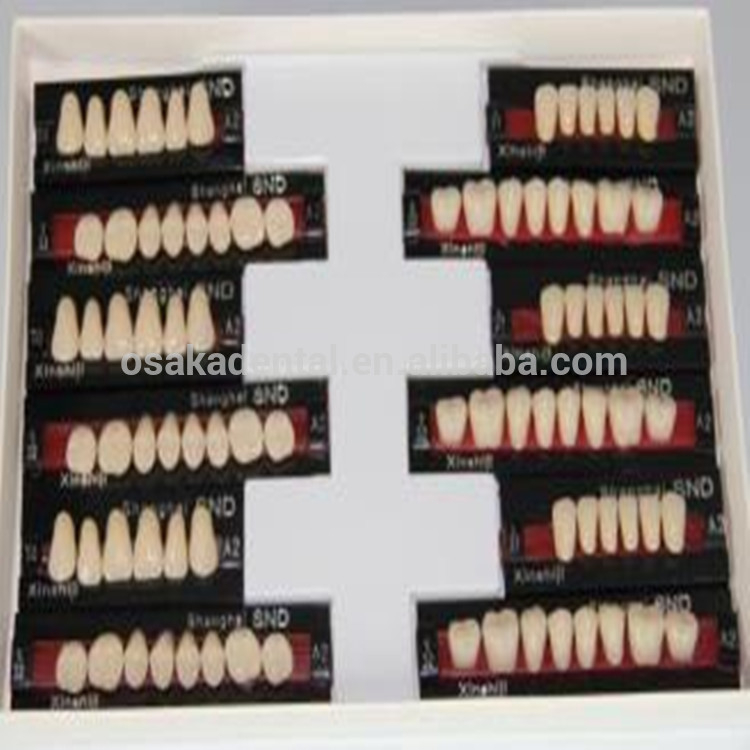 Um conjunto completo de dentes de qualidade europeia Melhor qualidade