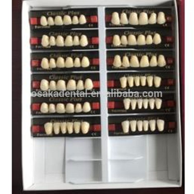 A European Quality Dentes Front Dentes Melhor Qualidade