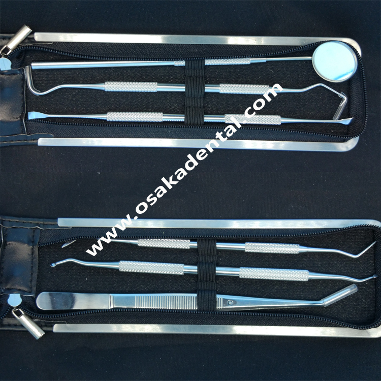 Instrumento dental de 6pcs um jogo / instrumento do cuidado da dentadura / processo de cura dental do equipamento