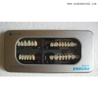 Dentes de resina de aço pvc dental osa-a-dentes1