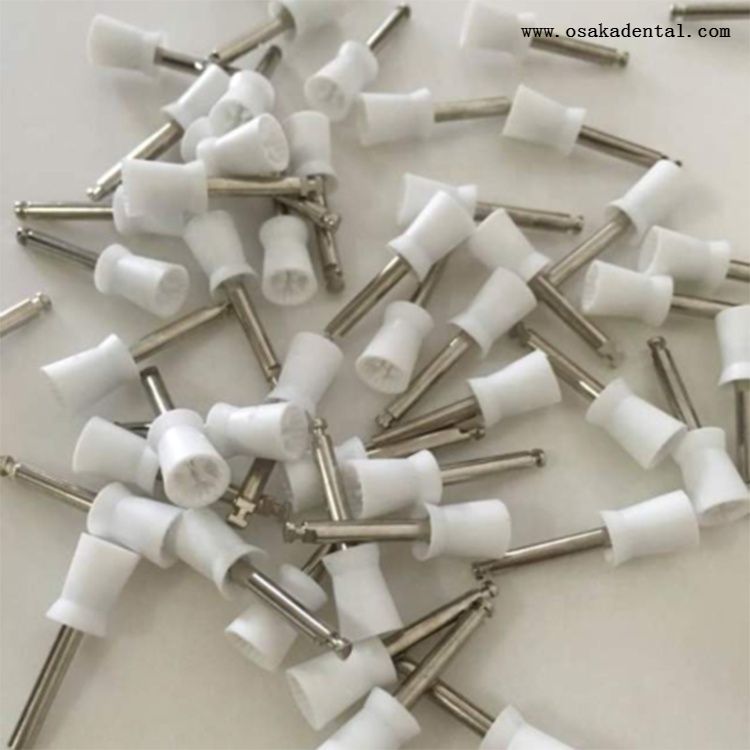 Dental-Prophy-Polishing-Brushed-Cup4