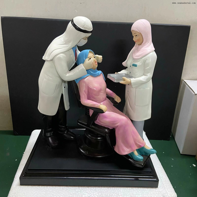 Modelo dental de precisão com material de resina, formato de modelo de dentista para decoração de clínica dentária