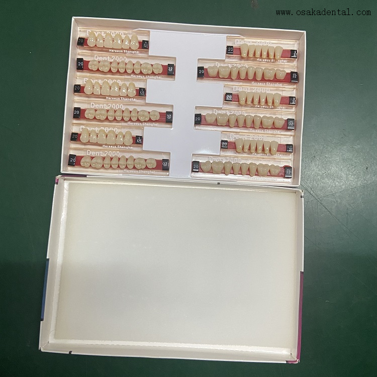 Dentes de resina Dental Heraeus 2000