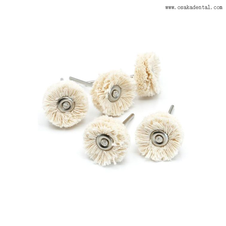 Escovas pequenas para polimento dentário com cabo