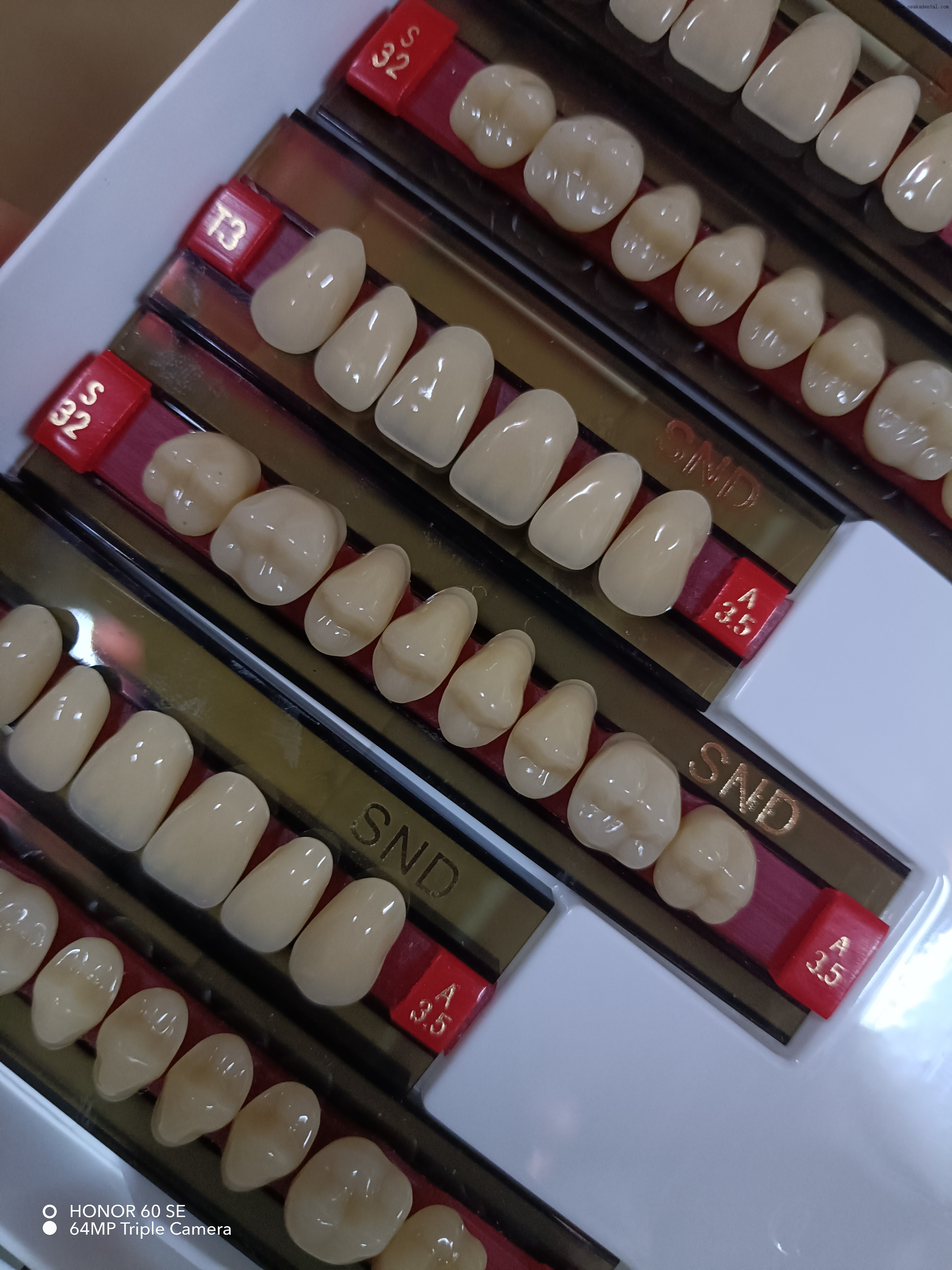Dentes de resina de dois tons de alta qualidade para próteses dentárias de aparência natural