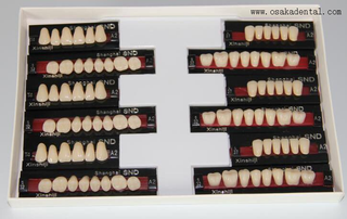 Qualidade Europeia Dental Resinteeth Full Set OSA-Teeth-UE