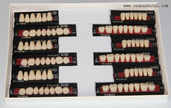 Qualidade Europeia Dental Resinteeth Full Set OSA-Teeth-UE