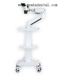 Braço curto dental sem câmera Microscópio