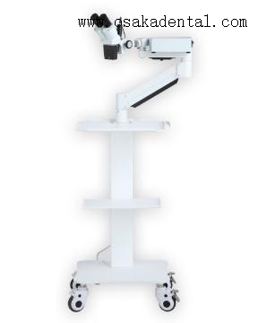 Braço curto dental sem câmera Microscópio