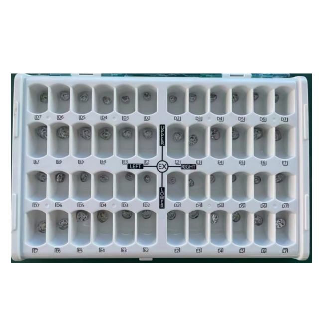 Conjunto completo de coroa dent&aacute;ria de metal infantil