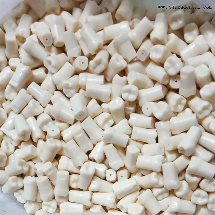 Dentes dentais com parafuso para estudo molde OSA-Teeth-N