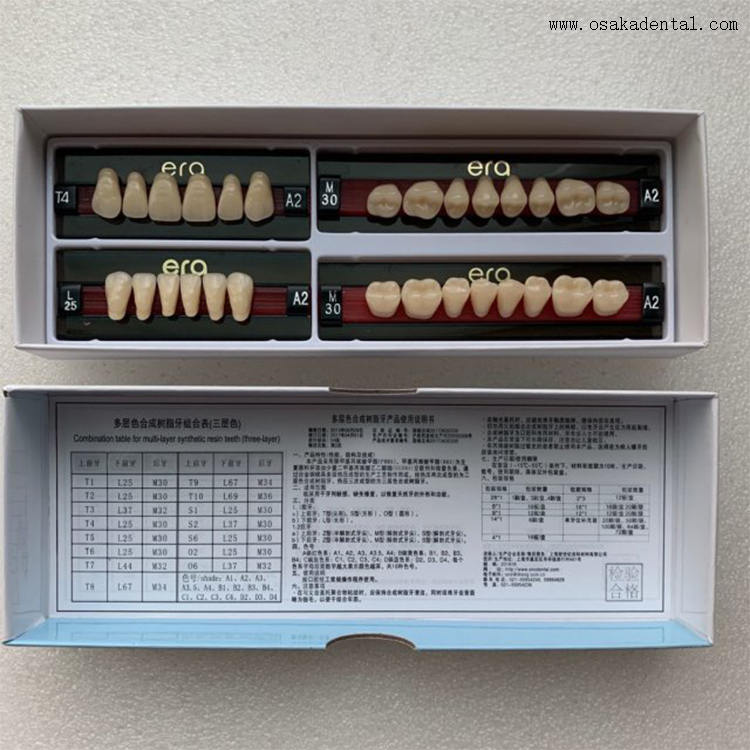 Dentes de resina sintética dental artificial acrílica de três camadas