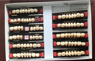 Qualidade europeia de resina dental dentes de volta os dentes osa-dentes -e