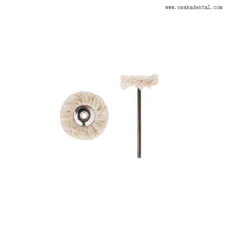 Escovas pequenas para polimento dentário com cabo
