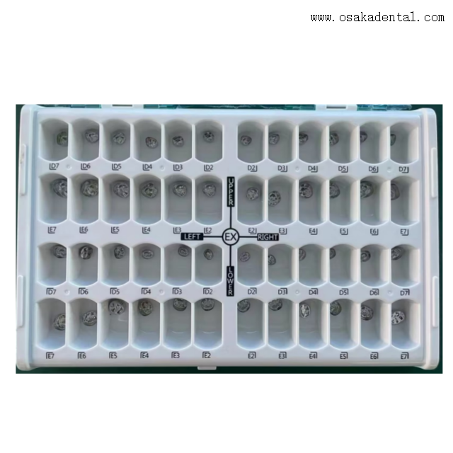 Conjunto completo de coroa dentária de metal infantil