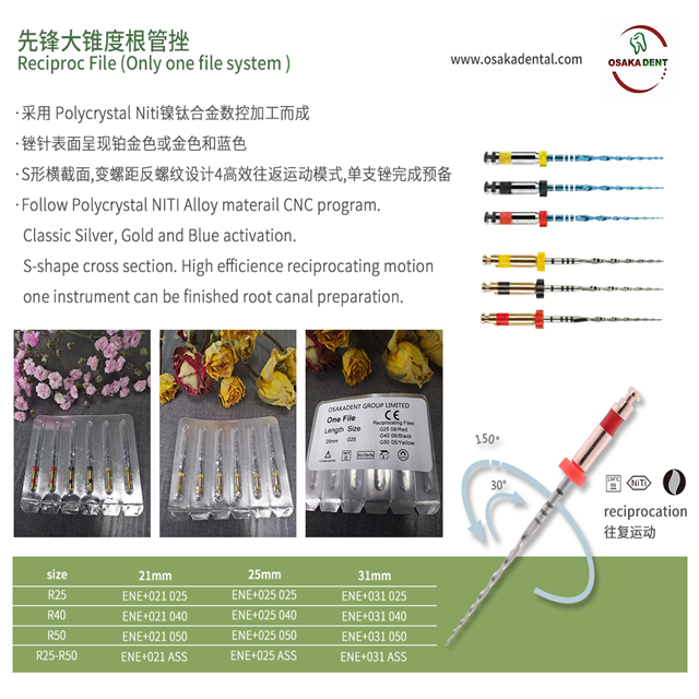 Um arquivo de endodontia Reciproc Niti do sistema de arquivos,