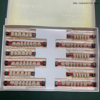 Dentes de resina Dental Heraeus 2000