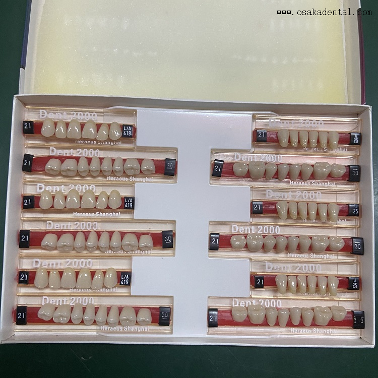 Dentes de resina Dental Heraeus 2000