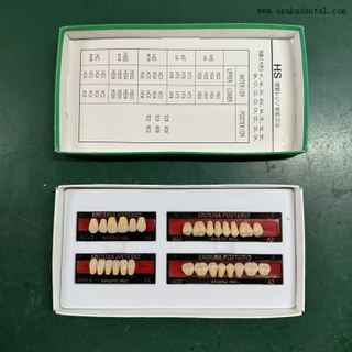ResinTeeth dentário de qualidade europeia, dentes frontais/traseiros OSA-Teeth-EU
