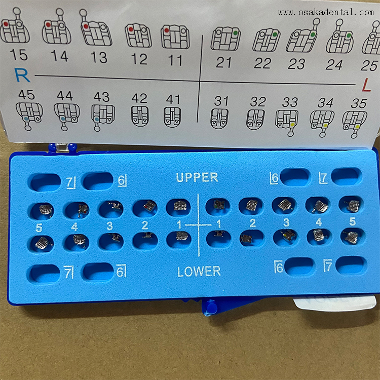 Suporte de metal base de malha ortodôntica dentária