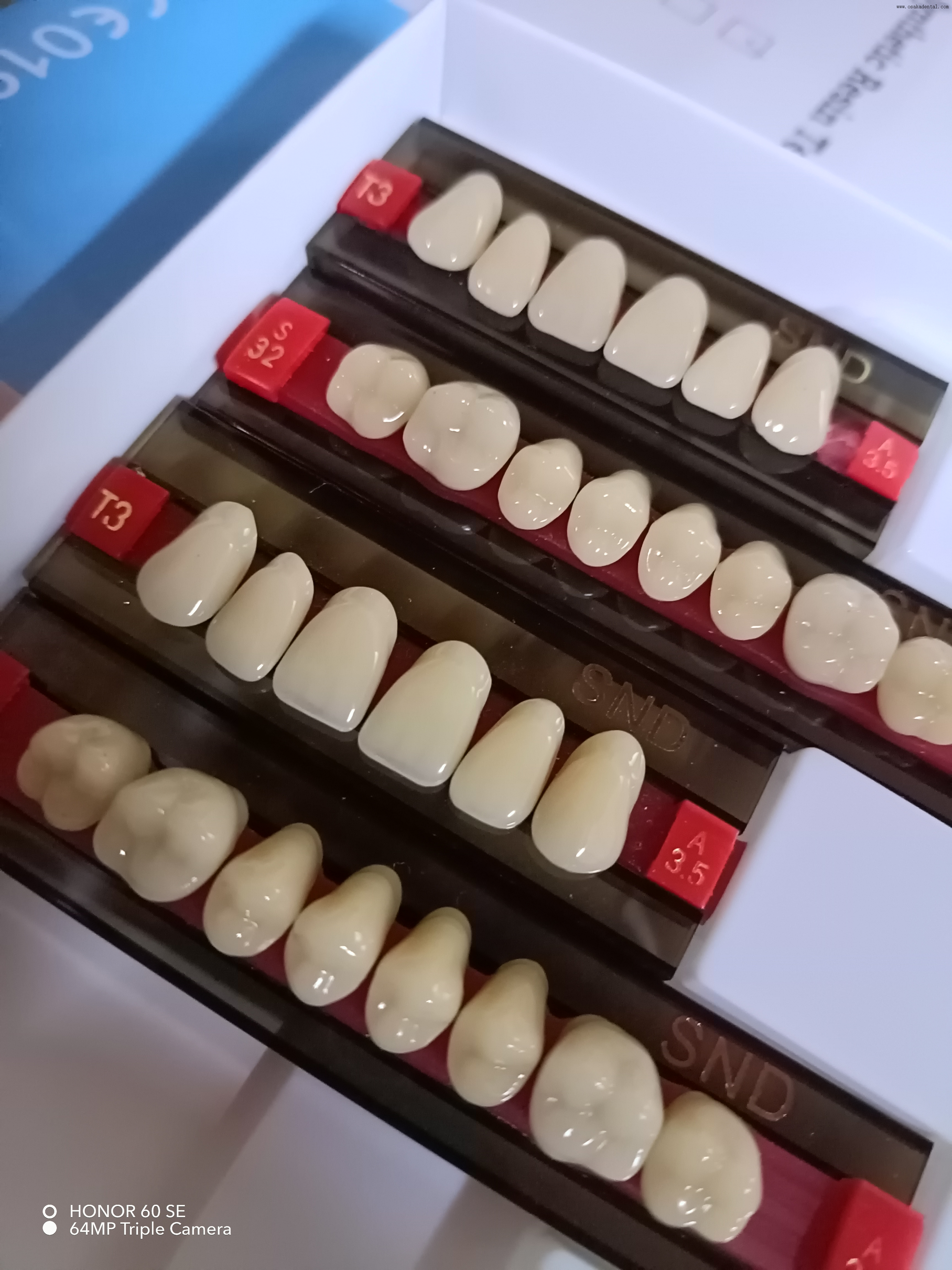 Dentes de resina de dois tons de alta qualidade para próteses dentárias de aparência natural