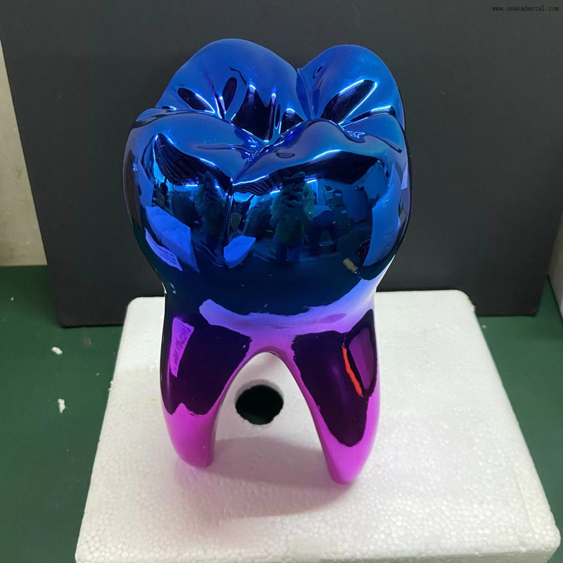 Escultura dentária em resina 3D - Decoração moderna de arte dentária para clínica dentária