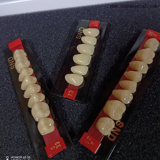 Dentes de resina de dois tons de alta qualidade para próteses dentárias de aparência natural