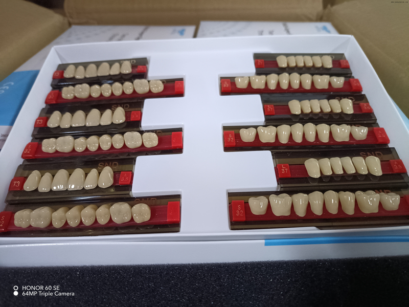 Dentes de resina de dois tons de alta qualidade para próteses dentárias de aparência natural