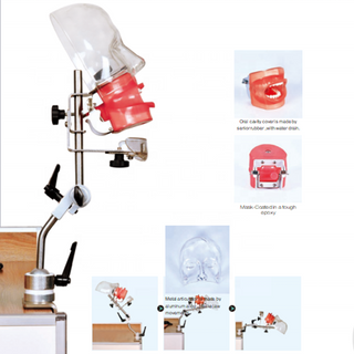 Um manequim odontológico simples com dreno de água