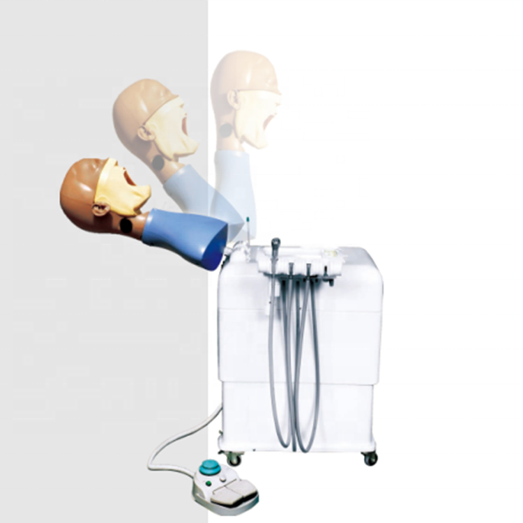 Um sistema de treinamento de simulação dentária com manequim dental com torso
