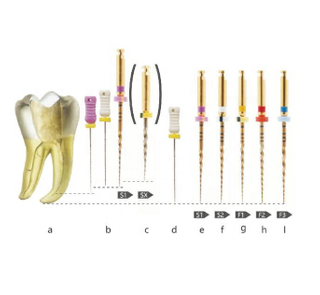 Arquivo dental de ativação de calor dourado Niti Protaper