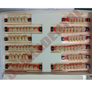 Qualidade europeia Três Camadas Dentes Falsos Dentais / Dentes Sintéticos Dentais / Dentes de resina acrílica Dental