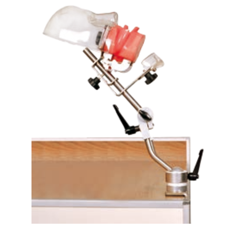 Um manequim dental simples com dreno de água