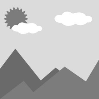 Arquivos Niti descartáveis especiais dentais